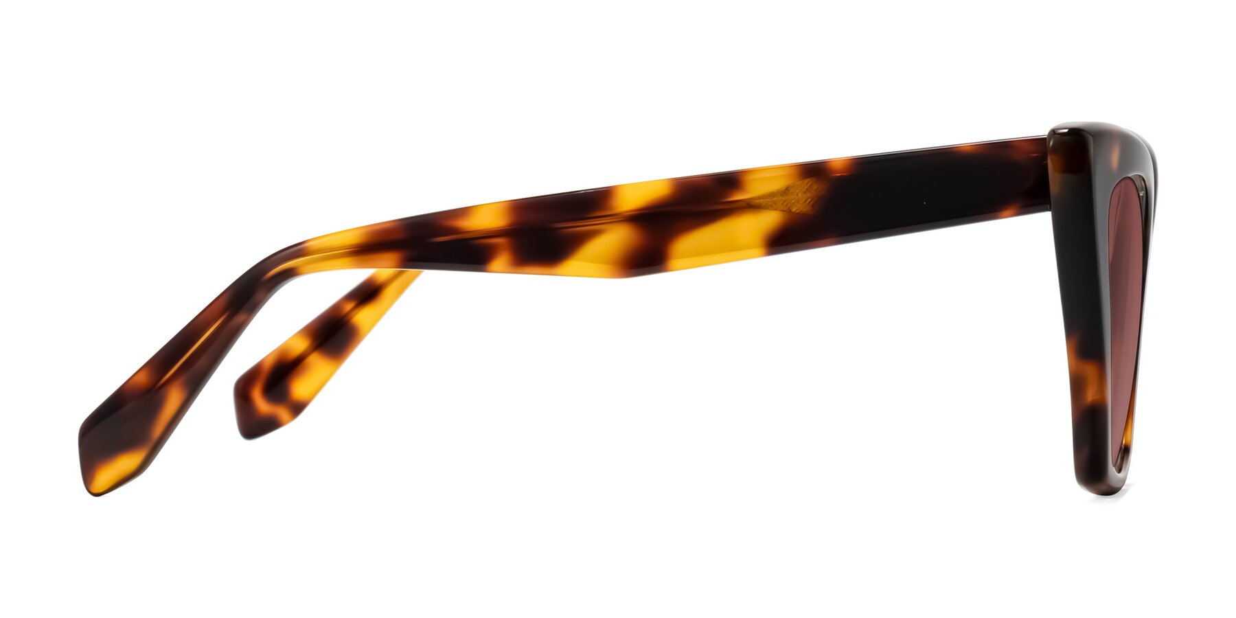 Side of Wayar in Tortoise with Garnet Tinted Lenses