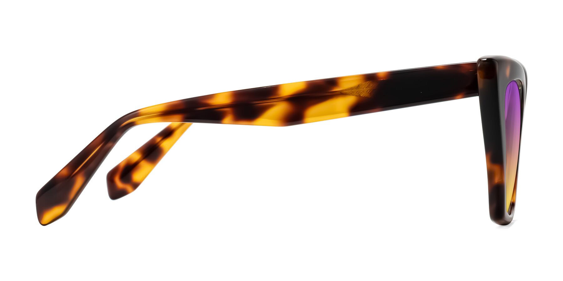 Side of Wayar in Tortoise with Purple / Yellow Gradient Lenses