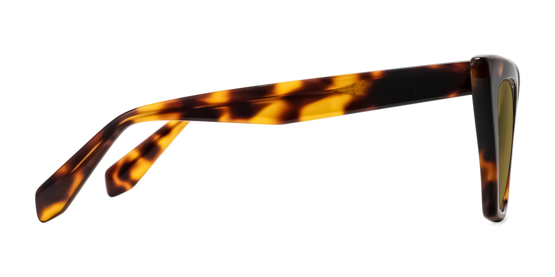 Side of Wayar in Tortoise with Brown Polarized Lenses