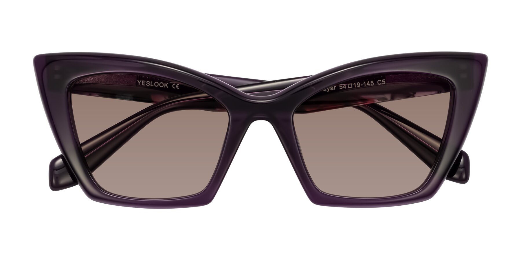 Folded Front of Wayar in Eggplant with Medium Brown Tinted Lenses