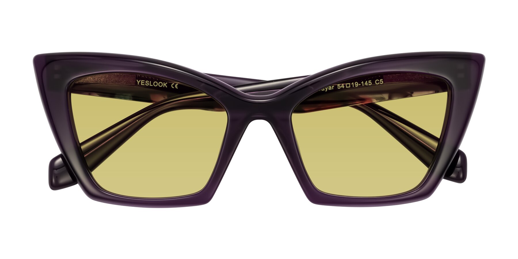 Folded Front of Wayar in Eggplant with Medium Champagne Tinted Lenses