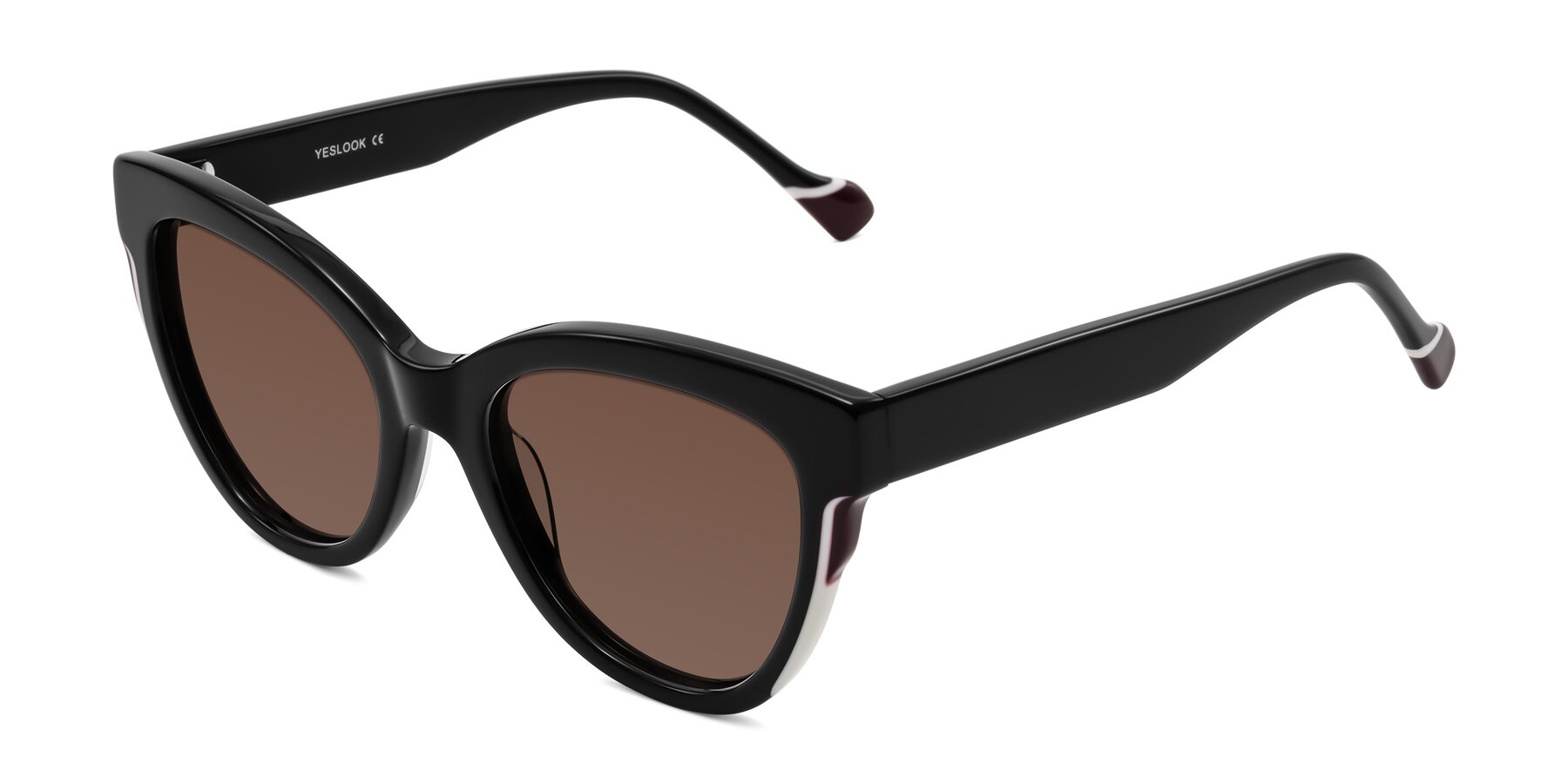 Angle of Yalkin in Black with Brown Tinted Lenses