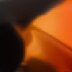 Orange Tortoise