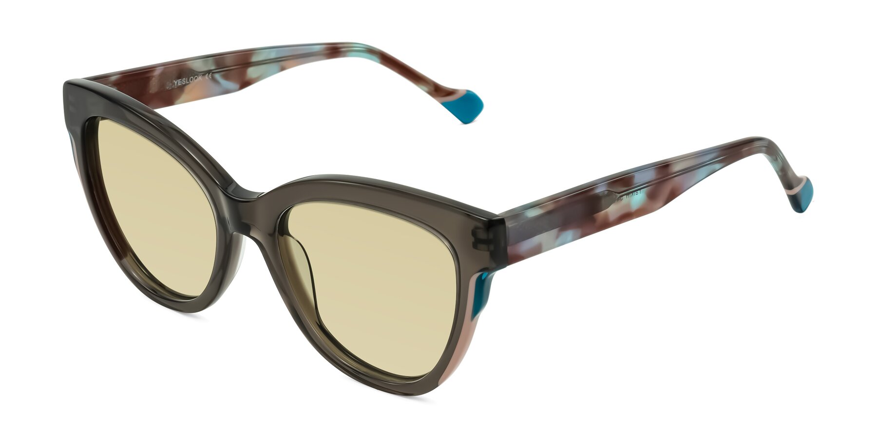 Angle of Yalkin in Gray/Tortoise with Light Champagne Tinted Lenses