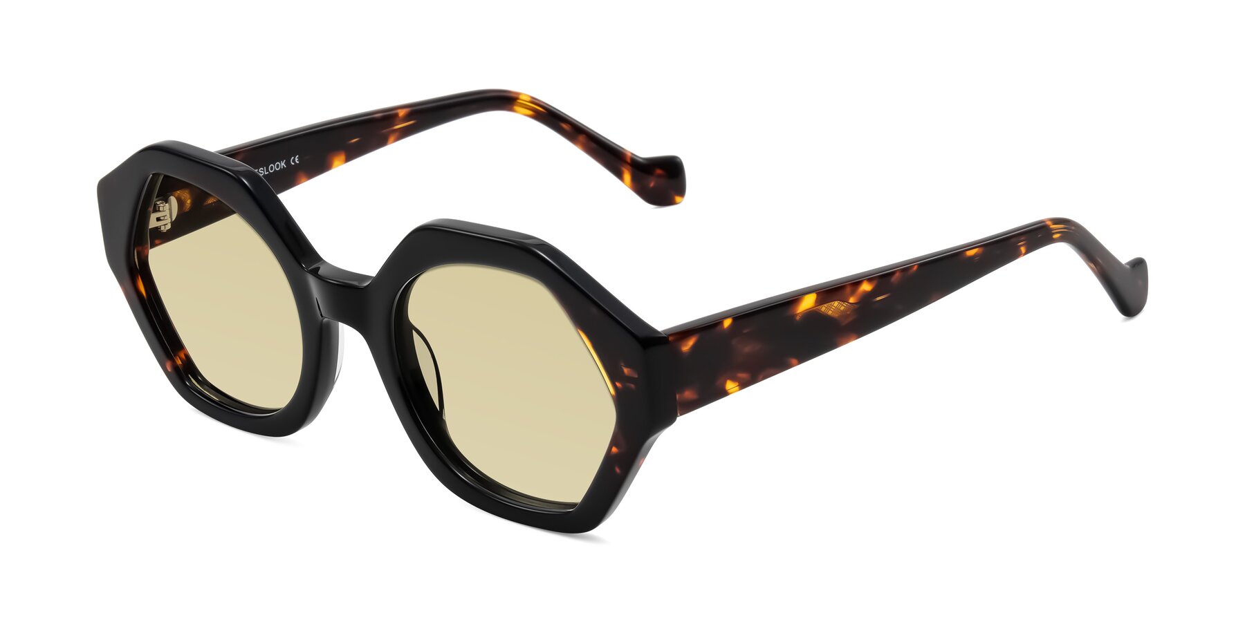 Angle of Kawa in Black/Tortoise with Light Champagne Tinted Lenses