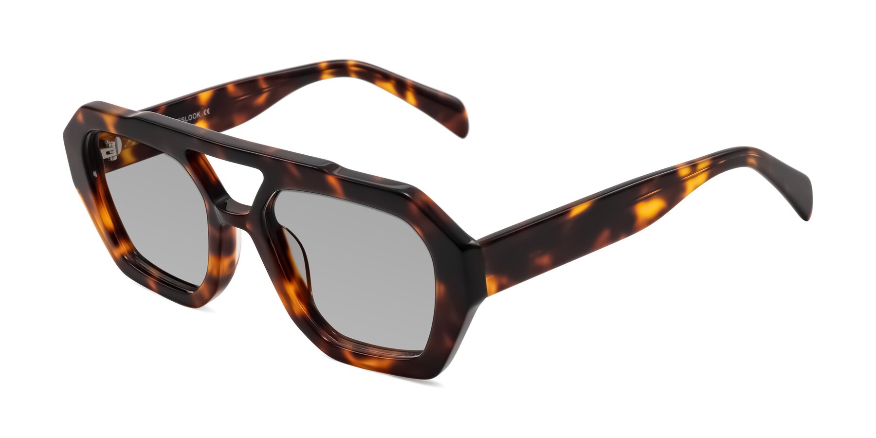 Angle of Silva in Tortoise with Light Gray Tinted Lenses