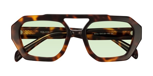 Front of Silva in Tortoise