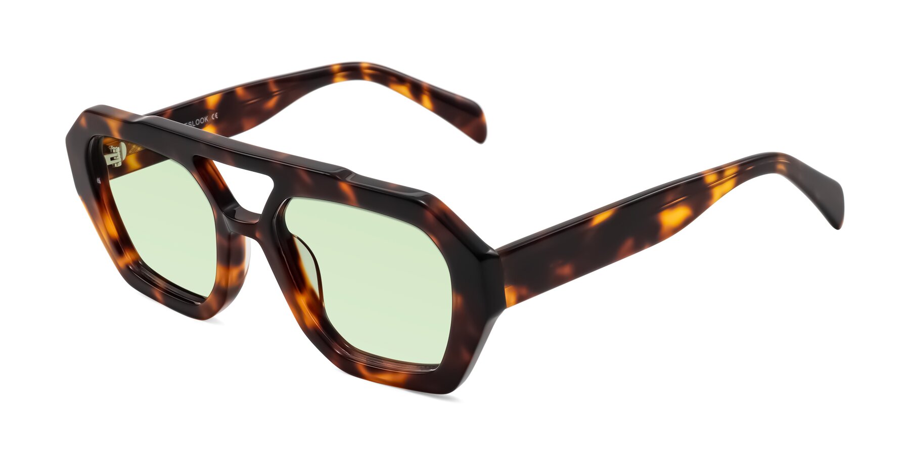Angle of Silva in Tortoise with Light Green Tinted Lenses