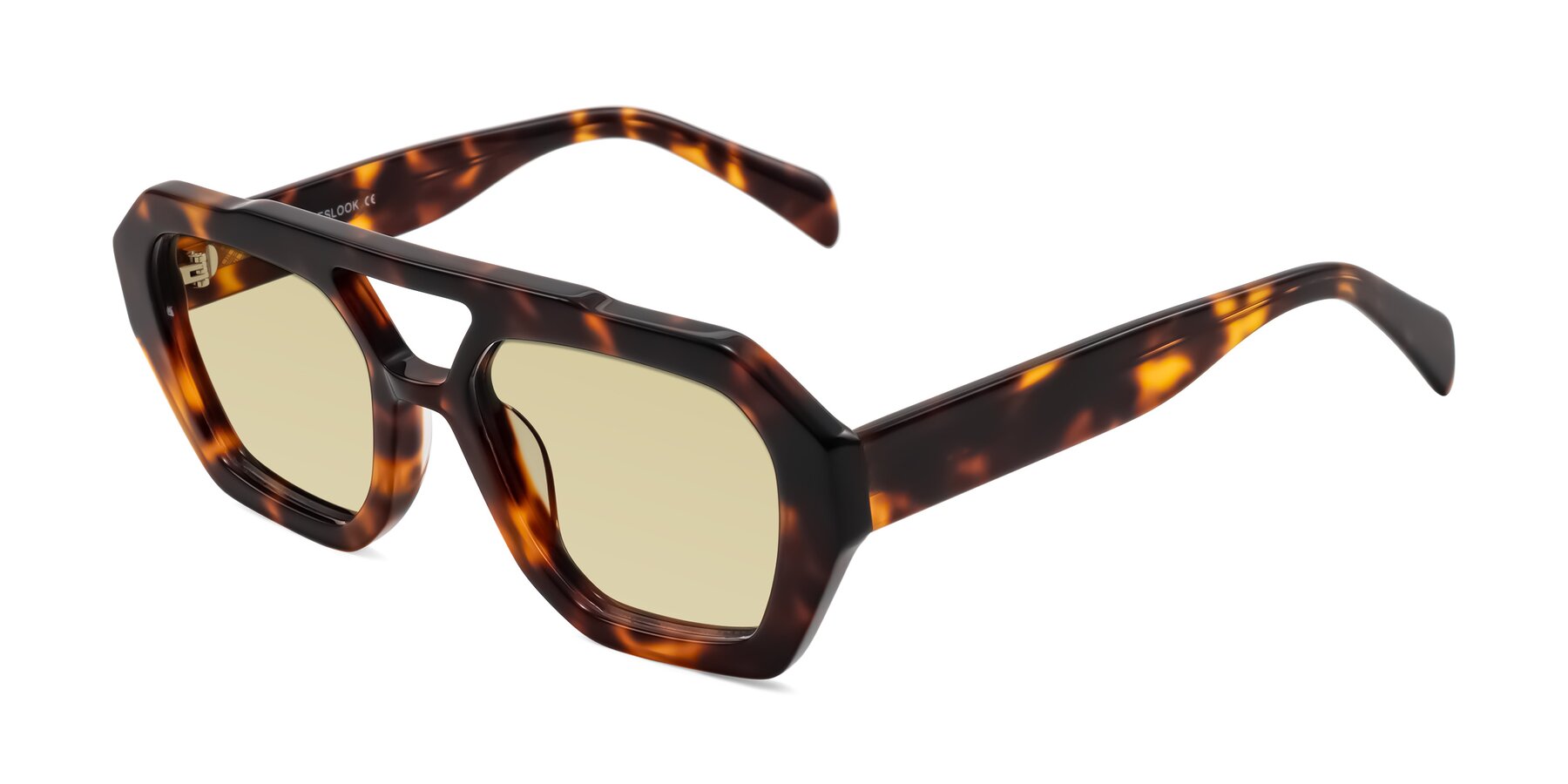 Angle of Silva in Tortoise with Light Champagne Tinted Lenses
