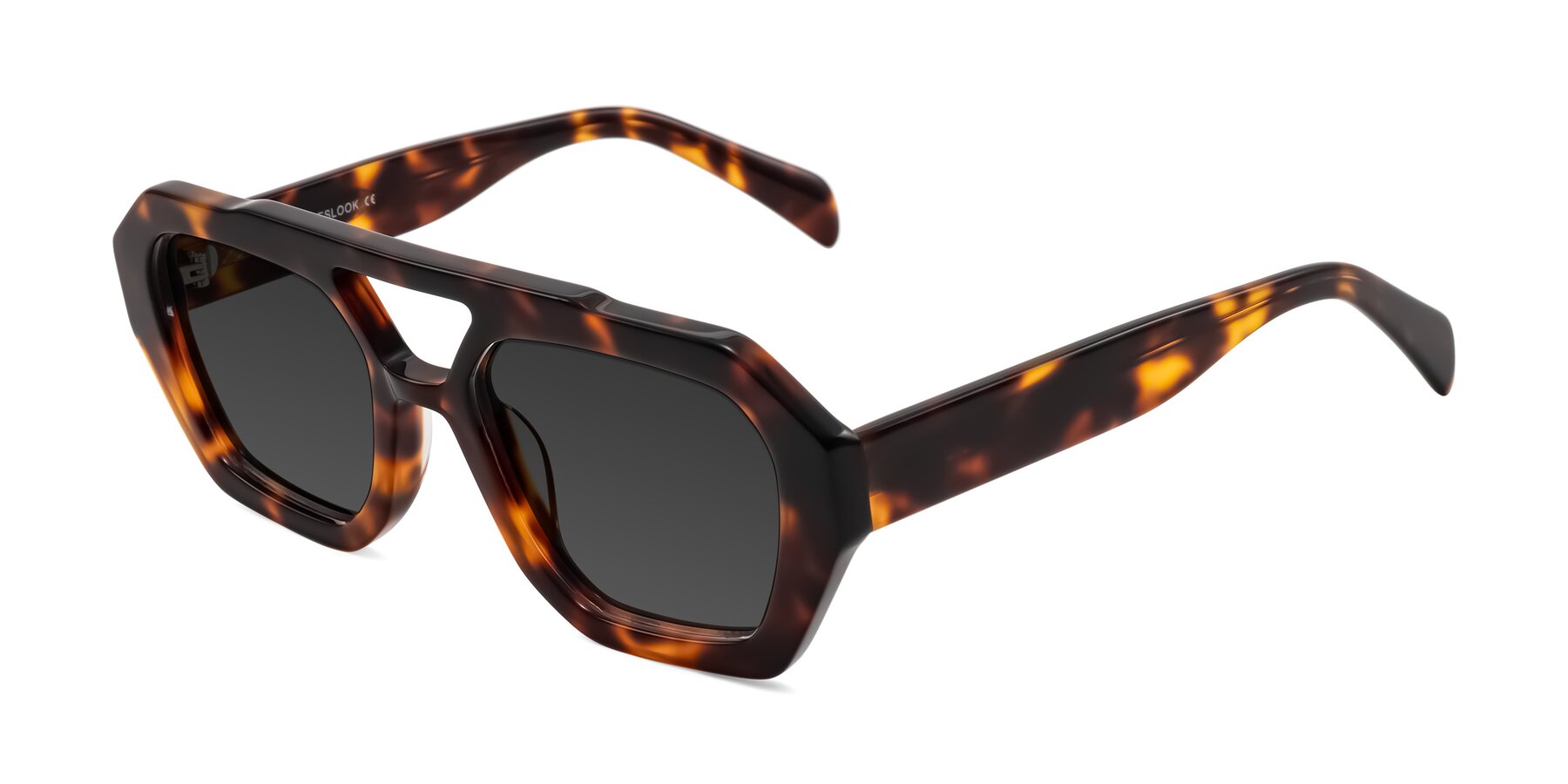 Angle of Silva in Tortoise with Gray Tinted Lenses