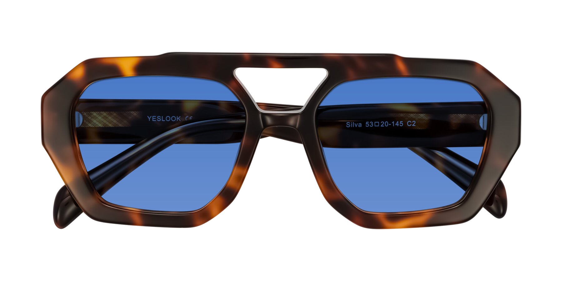 Folded Front of Silva in Tortoise with Blue Tinted Lenses