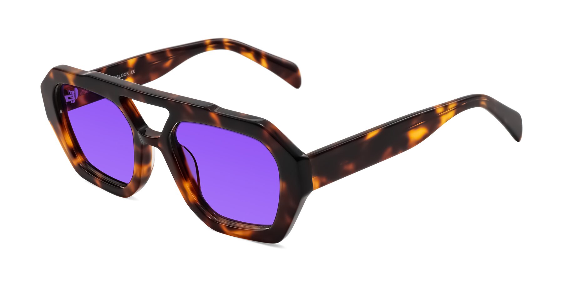 Angle of Silva in Tortoise with Purple Tinted Lenses