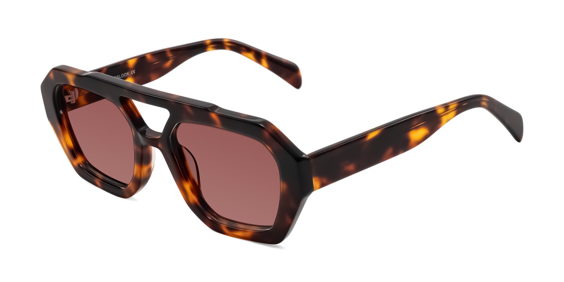 Angle of Silva in Tortoise with Garnet Tinted Lenses