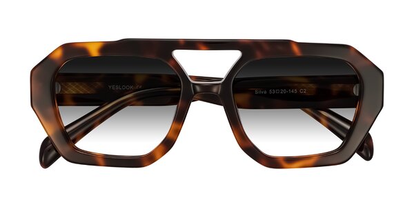 Front of Silva in Tortoise