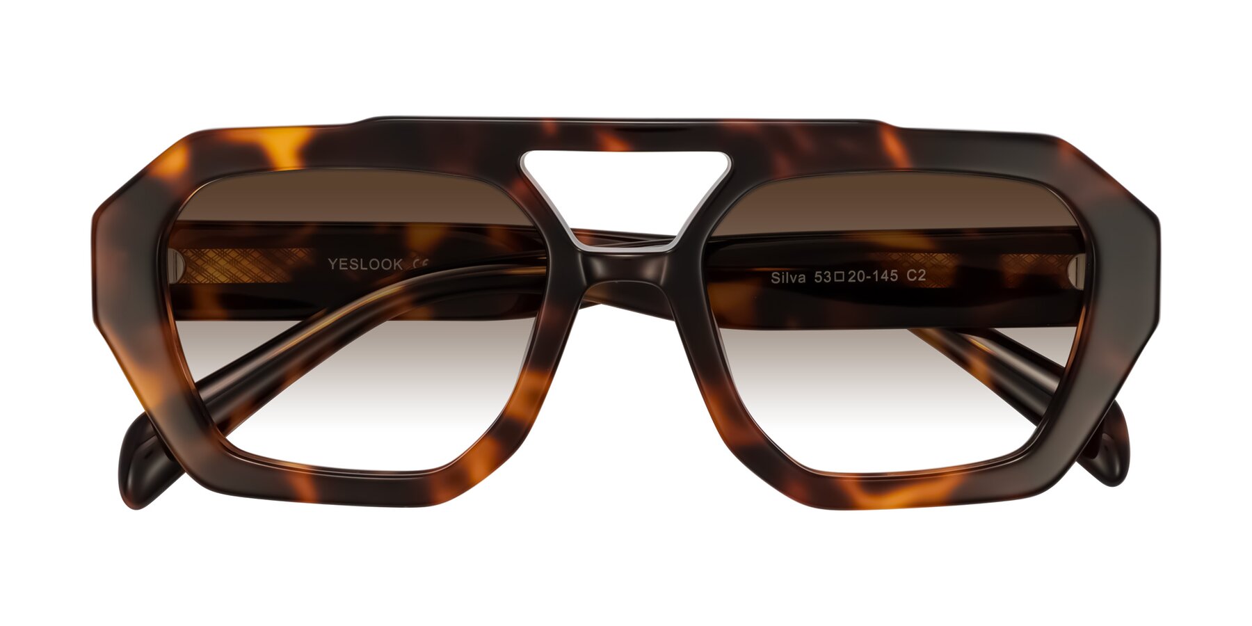 Folded Front of Silva in Tortoise with Brown Gradient Lenses