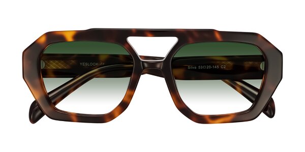Front of Silva in Tortoise