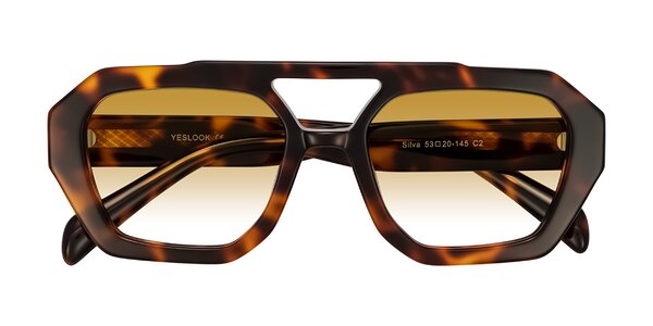 Front of Silva in Tortoise