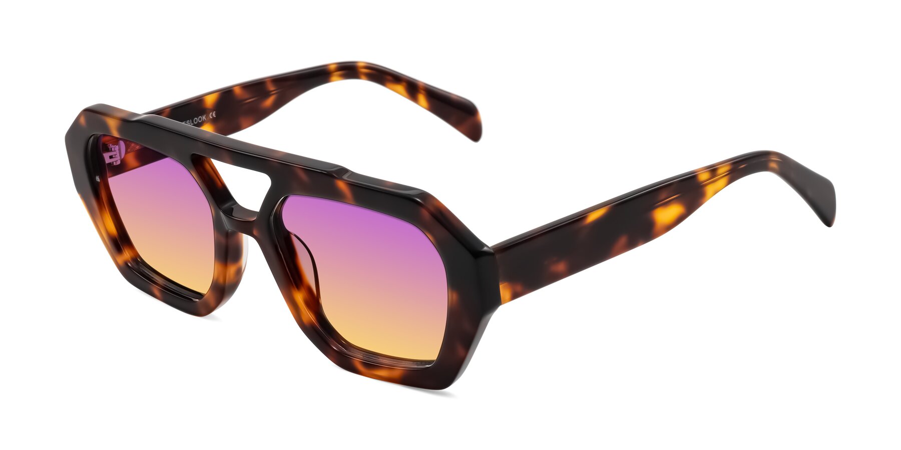 Angle of Silva in Tortoise with Purple / Yellow Gradient Lenses