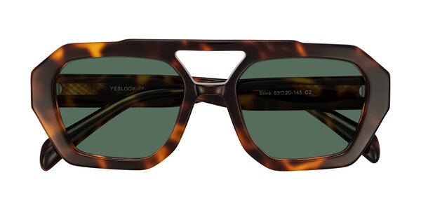 Front of Silva in Tortoise