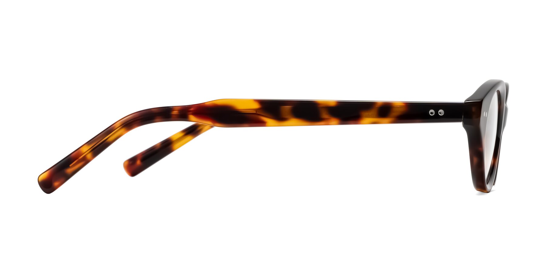 Side of Mitri in Tortoise with Clear Eyeglass Lenses