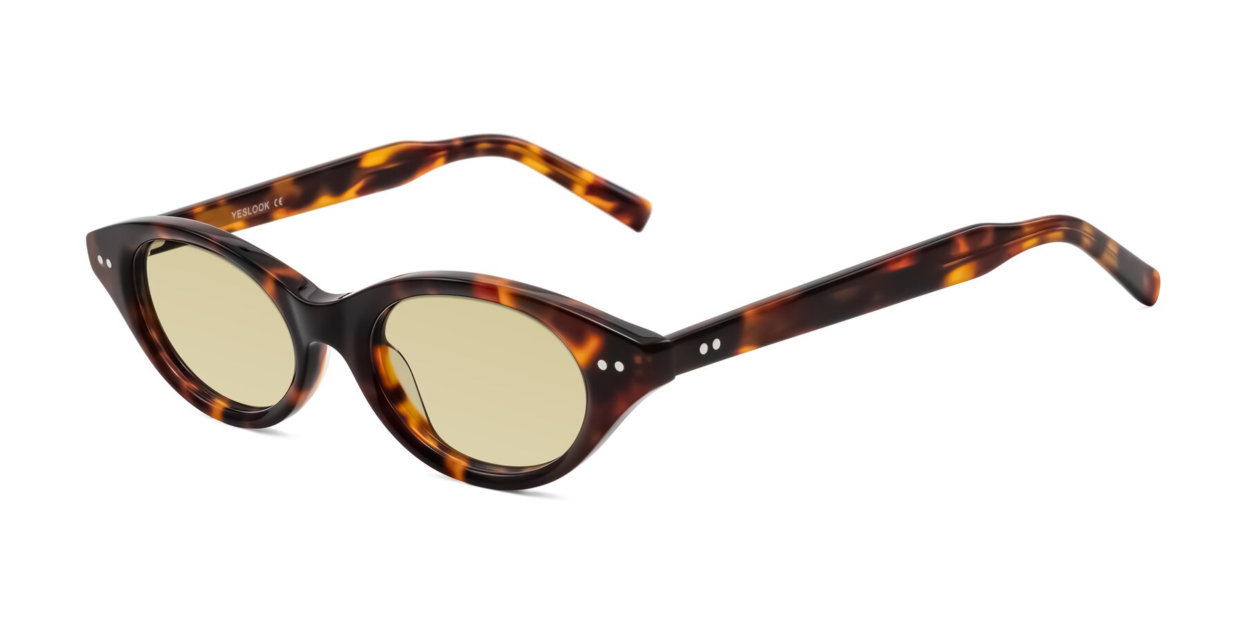 Angle of Mitri in Tortoise with Light Champagne Tinted Lenses