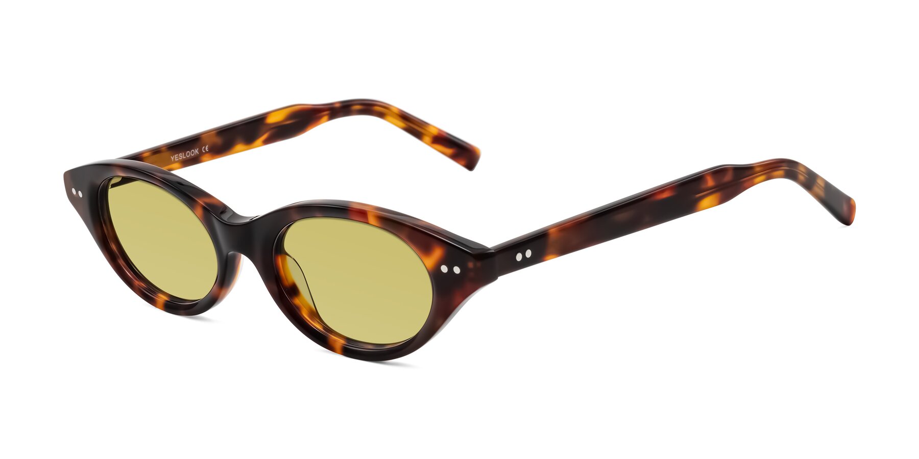 Angle of Mitri in Tortoise with Medium Champagne Tinted Lenses