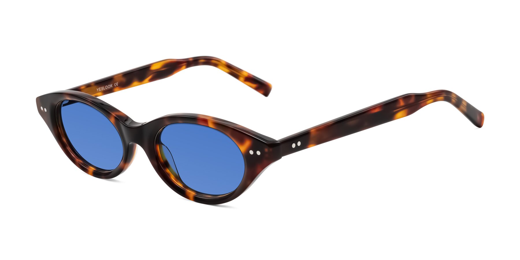Angle of Mitri in Tortoise with Blue Tinted Lenses