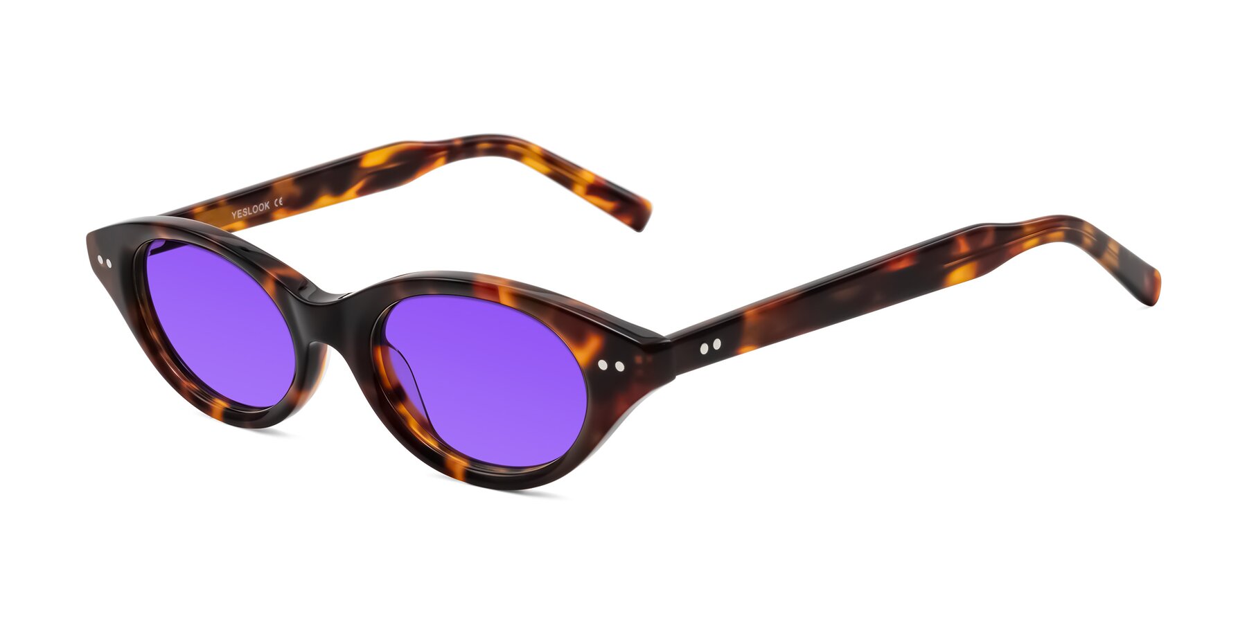 Angle of Mitri in Tortoise with Purple Tinted Lenses