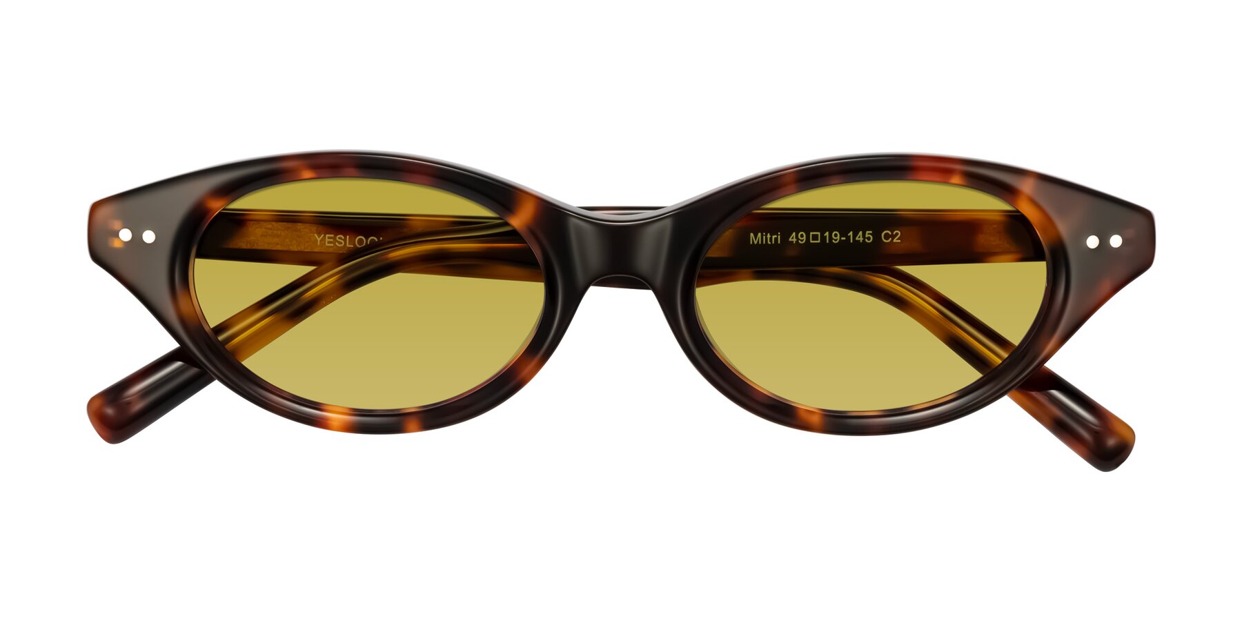 Folded Front of Mitri in Tortoise with Champagne Tinted Lenses