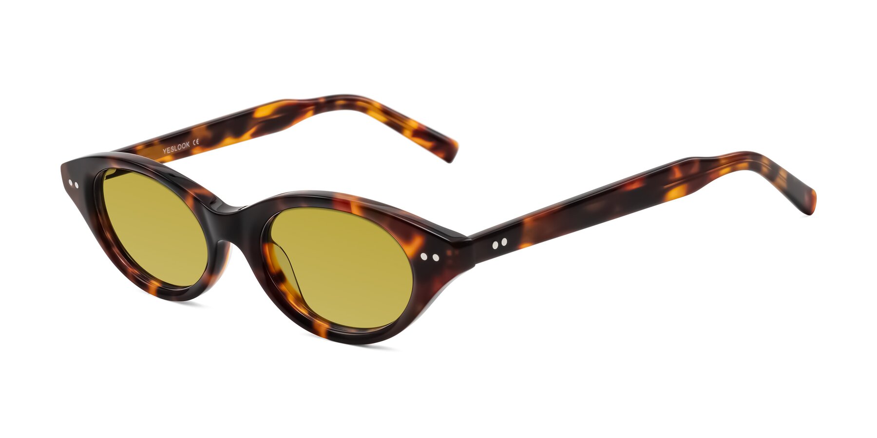 Angle of Mitri in Tortoise with Champagne Tinted Lenses