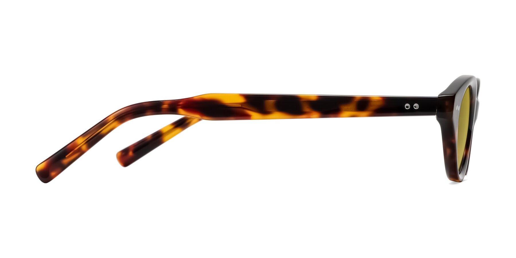 Side of Mitri in Tortoise with Champagne Tinted Lenses