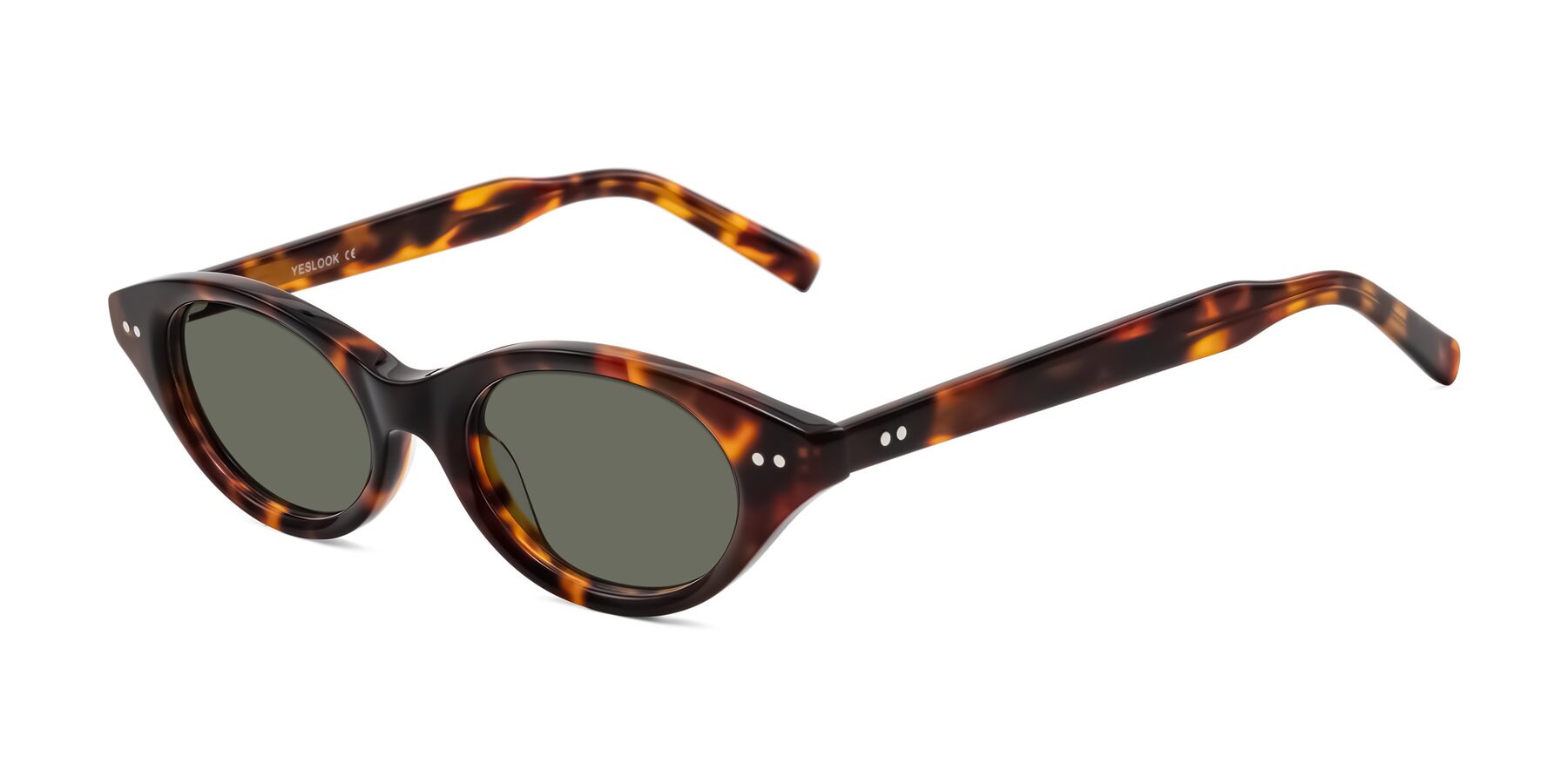 Angle of Mitri in Tortoise with Gray Polarized Lenses