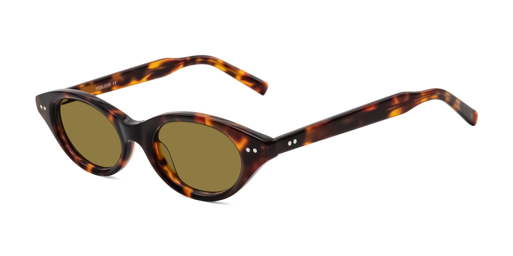 Angle of Mitri in Tortoise with Brown Polarized Lenses