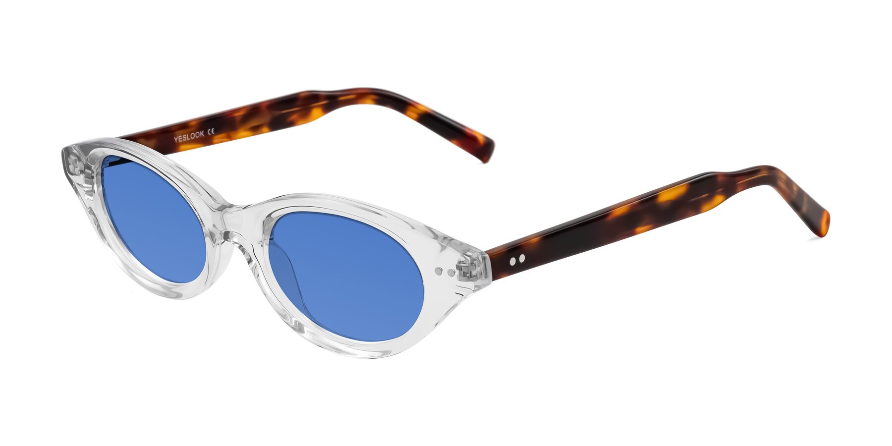 Angle of Mitri in Clear/Tortoise with Blue Tinted Lenses