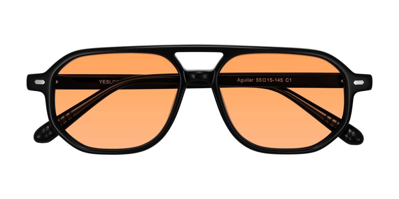 Aguilar - Black Tinted Sunglasses