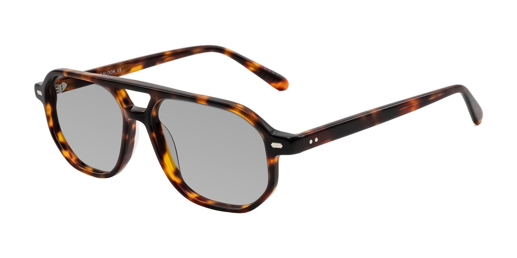 Angle of Aguilar in Tortoise with Light Gray Tinted Lenses