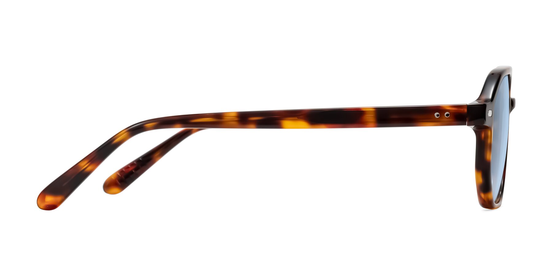 Side of Aguilar in Tortoise with Light Blue Tinted Lenses