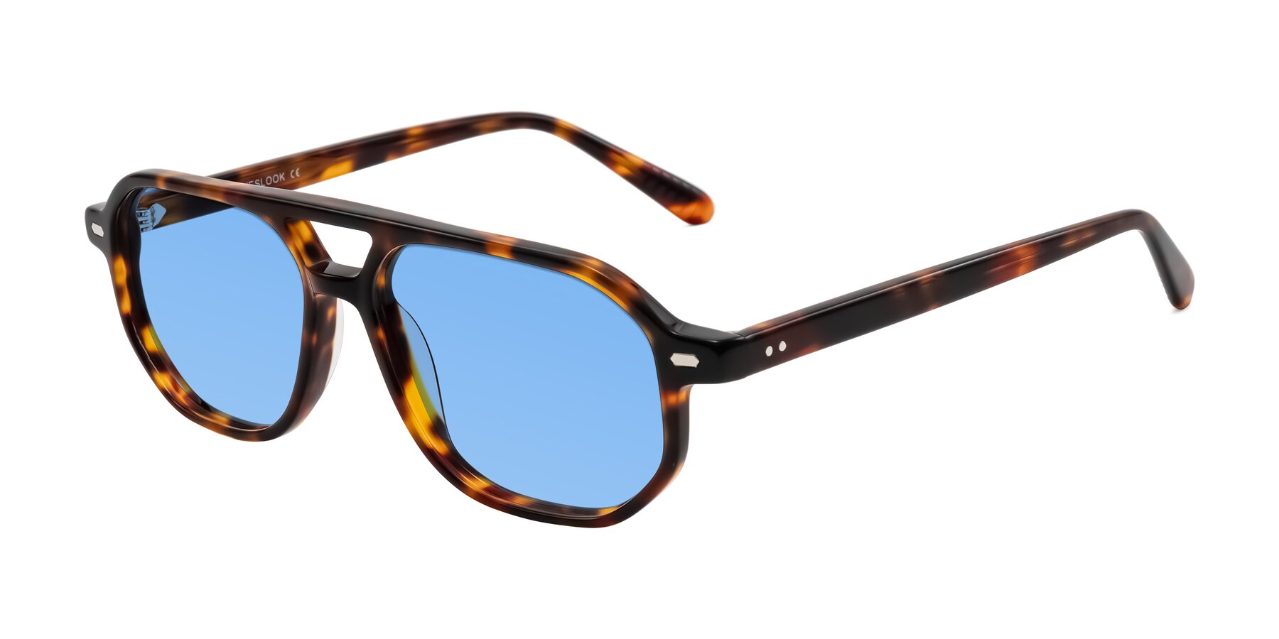Angle of Aguilar in Tortoise with Medium Blue Tinted Lenses