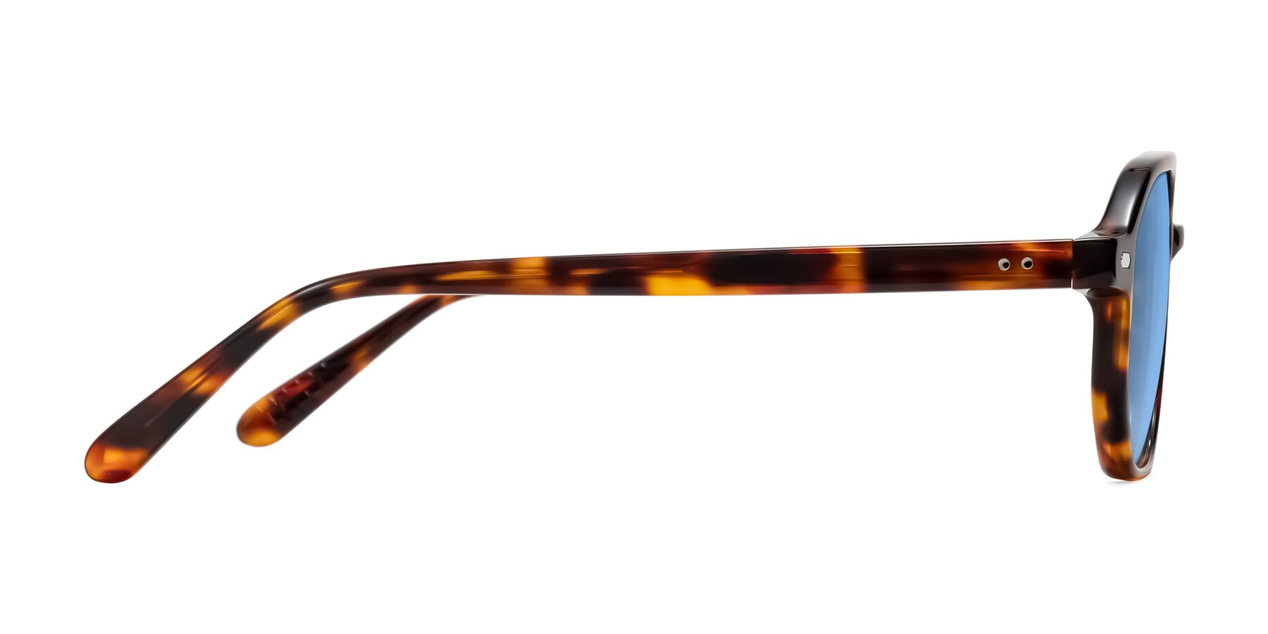 Side of Aguilar in Tortoise with Medium Blue Tinted Lenses