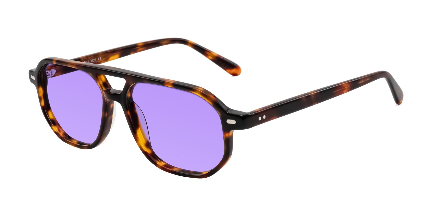Angle of Aguilar in Tortoise with Medium Purple Tinted Lenses