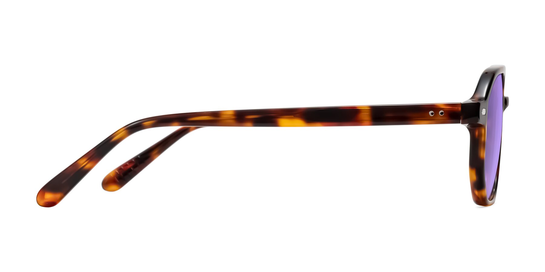 Side of Aguilar in Tortoise with Medium Purple Tinted Lenses
