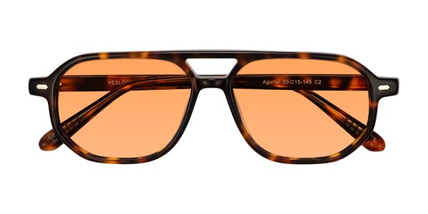 Front of Aguilar in Tortoise