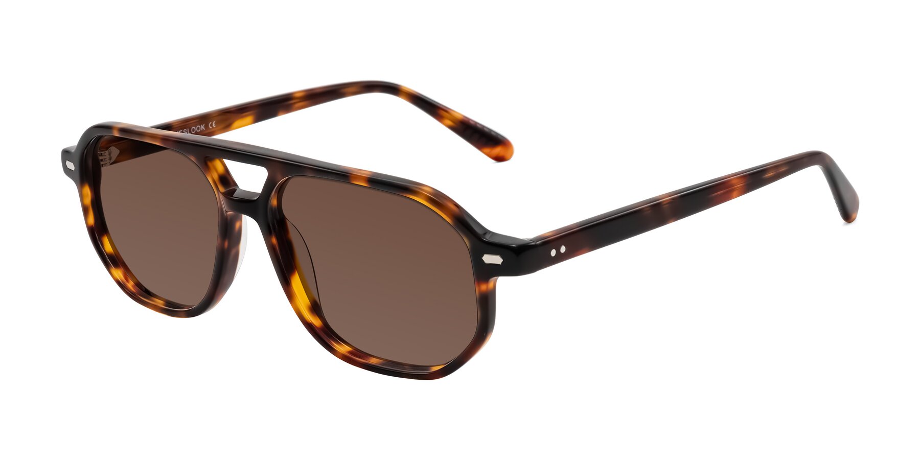 Angle of Aguilar in Tortoise with Brown Tinted Lenses