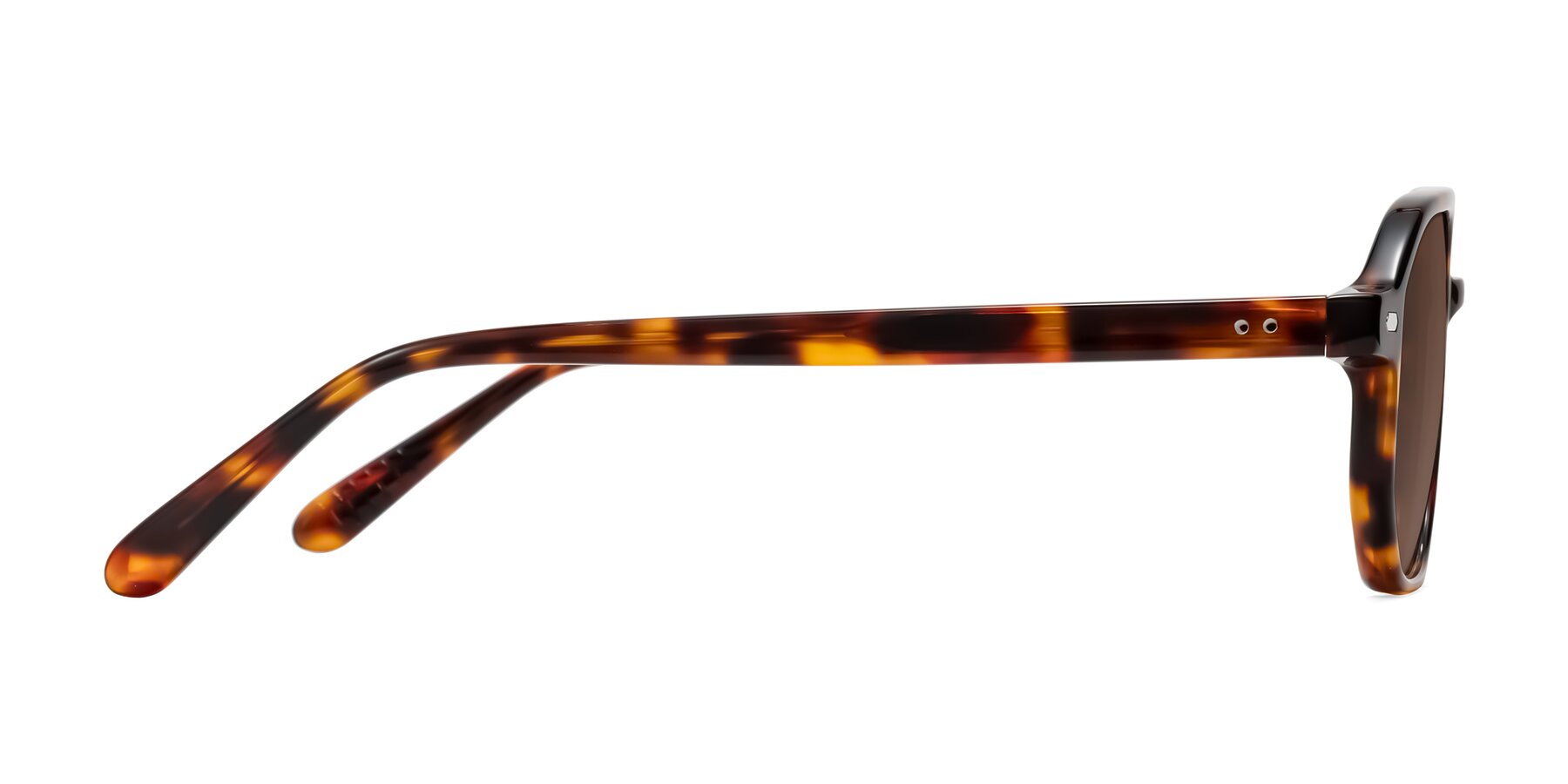 Side of Aguilar in Tortoise with Brown Tinted Lenses