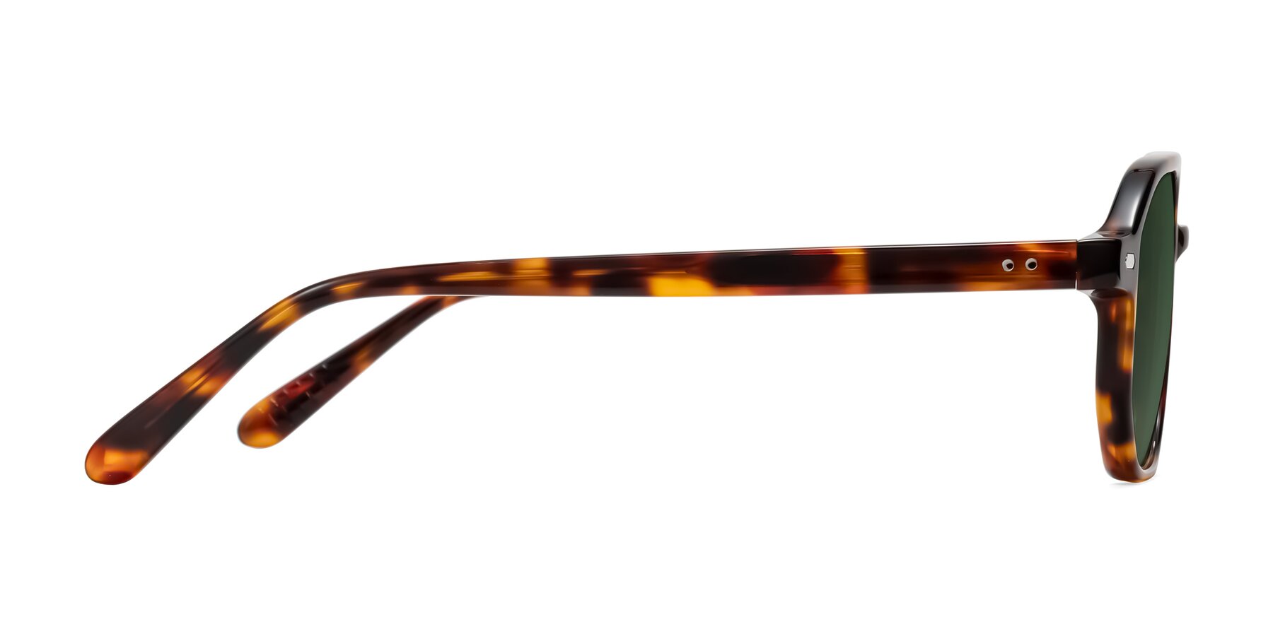 Side of Aguilar in Tortoise with Green Tinted Lenses