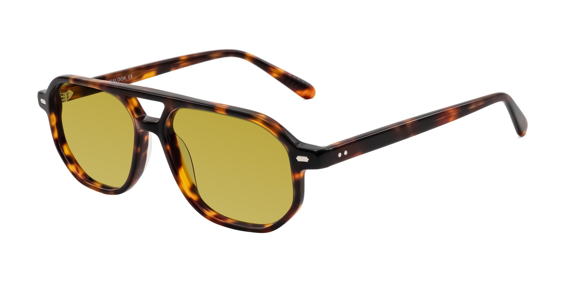 Angle of Aguilar in Tortoise with Champagne Tinted Lenses