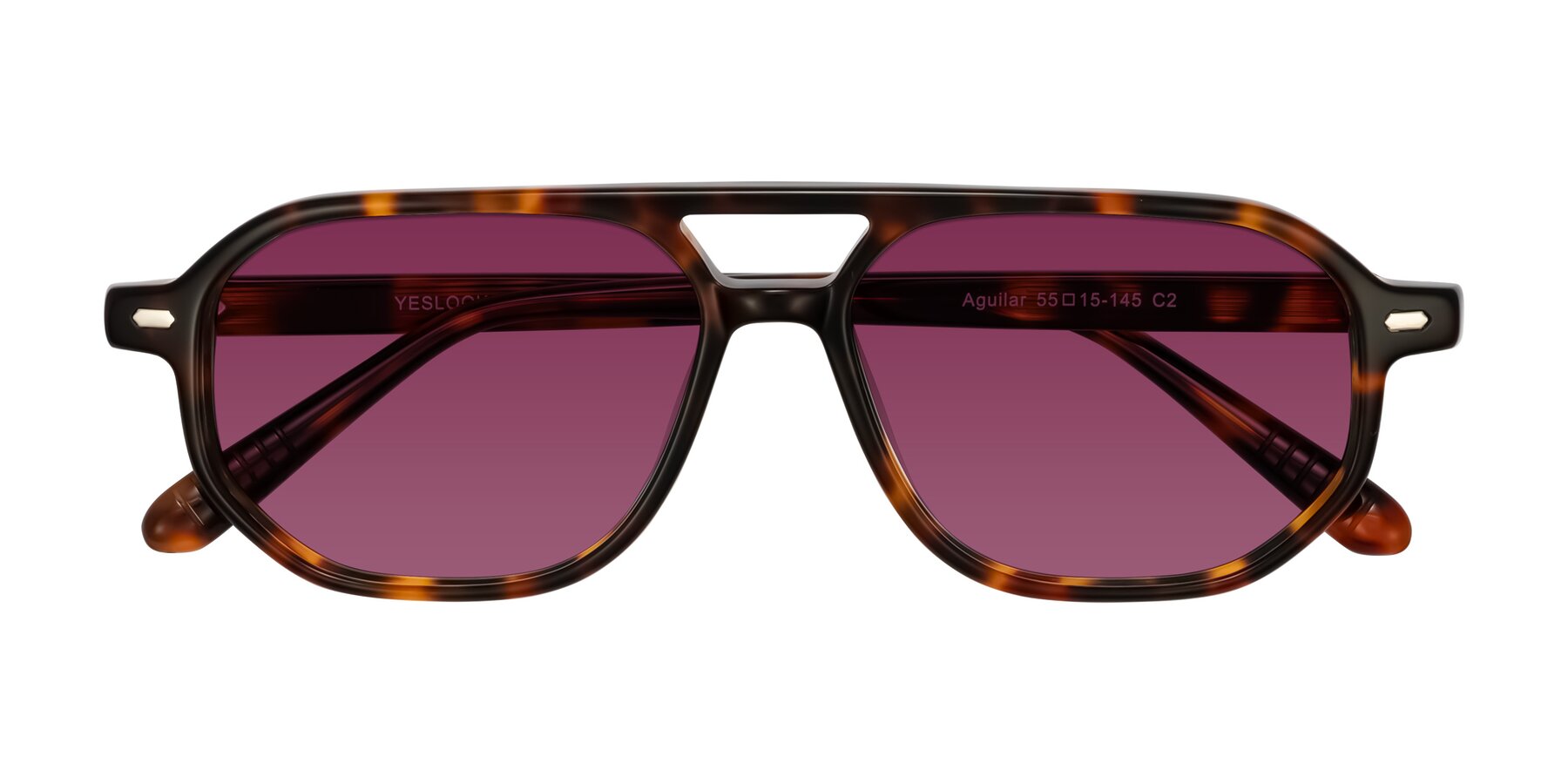 Folded Front of Aguilar in Tortoise with Wine Tinted Lenses