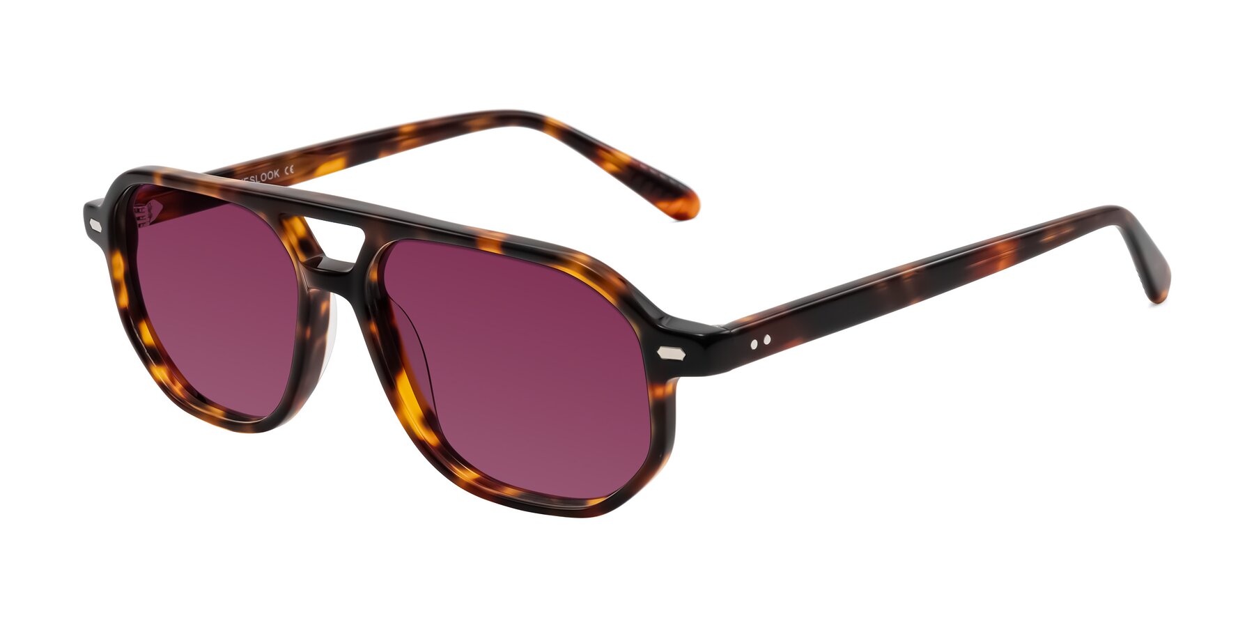 Angle of Aguilar in Tortoise with Wine Tinted Lenses