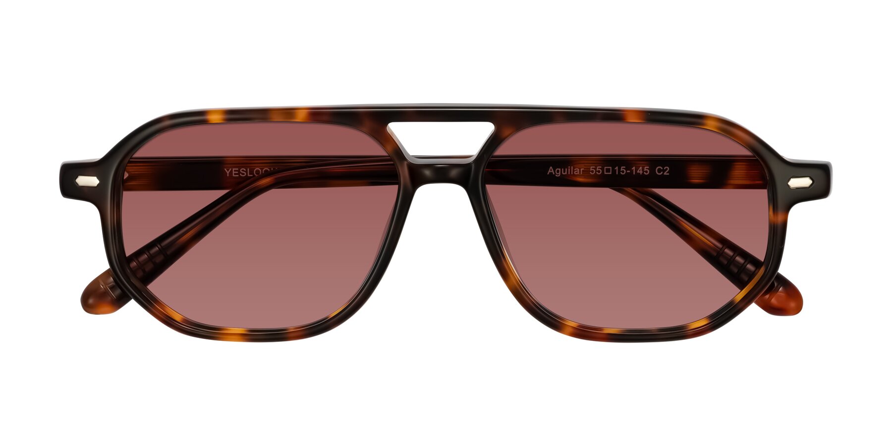 Folded Front of Aguilar in Tortoise with Garnet Tinted Lenses