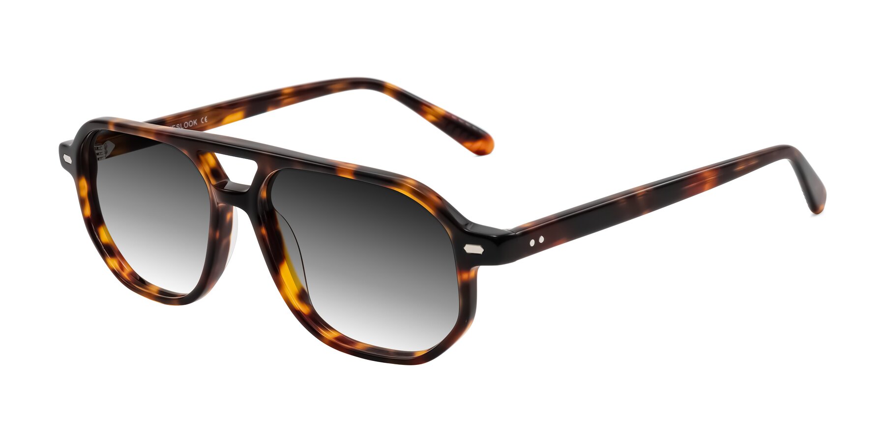 Angle of Aguilar in Tortoise with Gray Gradient Lenses